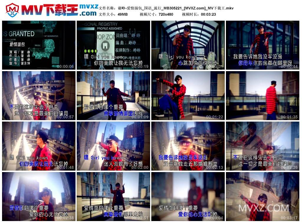 谢峥-爱情面包_国语_流行_MB305221